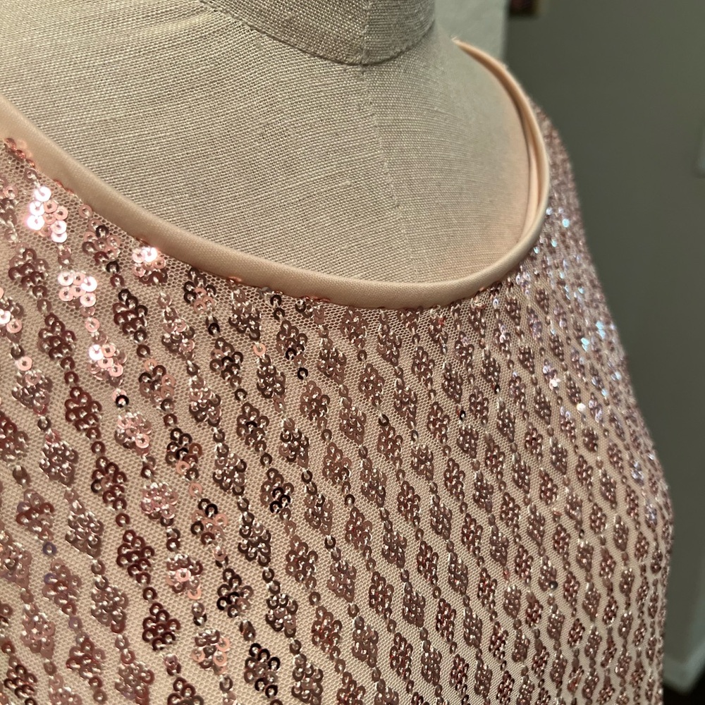 Rose Gold Sequin Dress - Picture 5 of 7